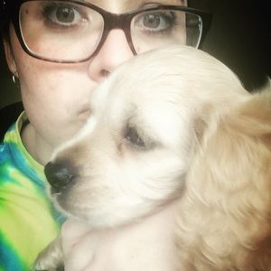 Meet your Posher, Brighid